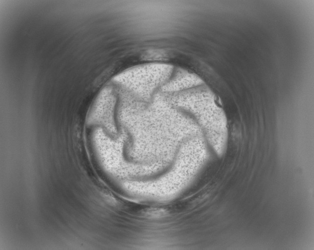 X0000054460322200508121944