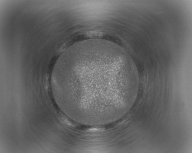 X0000054460323200508121944