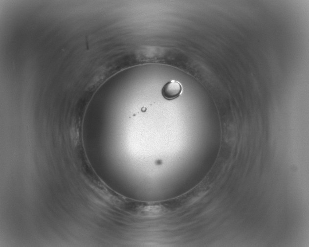 X0000054460324200508121944