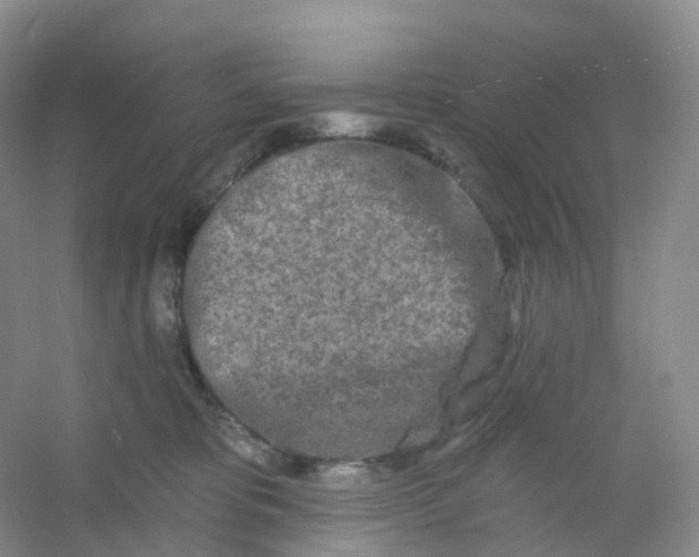 X0000054460325200508121944