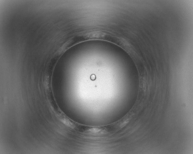 X0000054460326200508121944