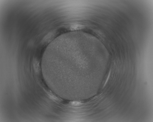 X0000054460327200508121944