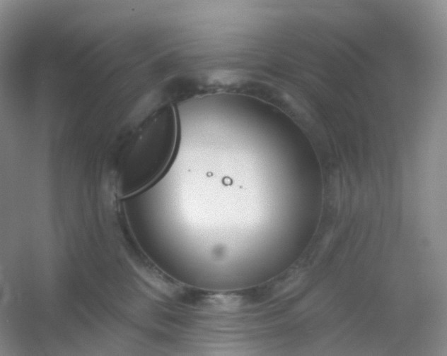 X0000054460328200508121944