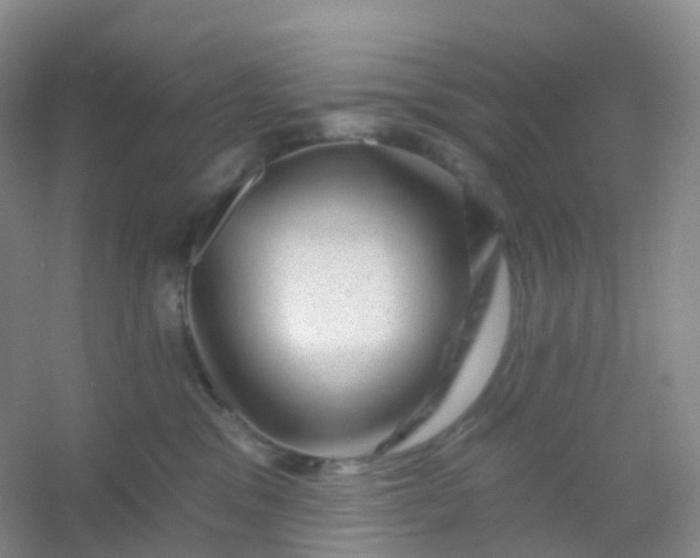 X0000054460329200508121944