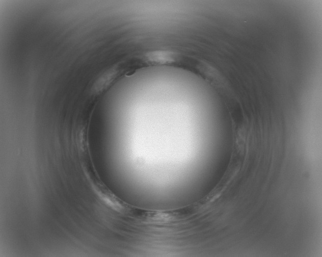 X0000054460330200508121944