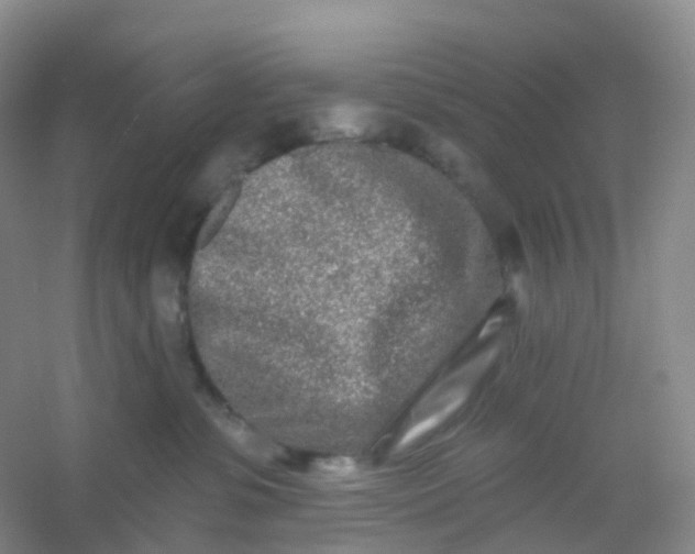 X0000054460331200508121944