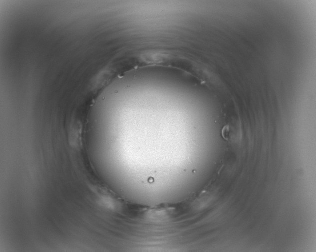 X0000054460332200508121944