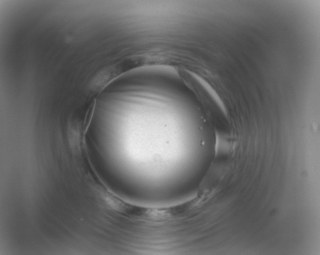 X0000054460333200508121944