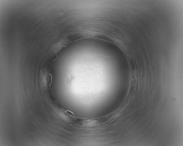 X0000054460334200508121944