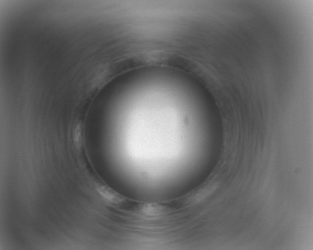 X0000054460336200508121944