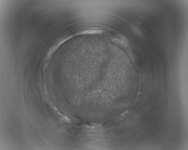 X0000054460337200508121943