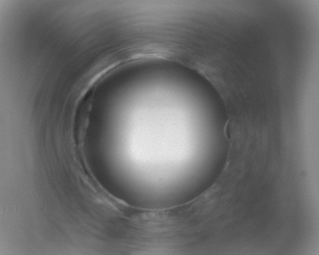 X0000054460338200508121943