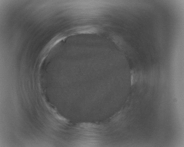 X0000054460339200508121943