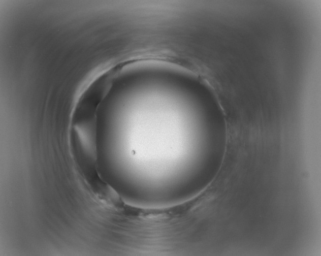 X0000054460340200508121943