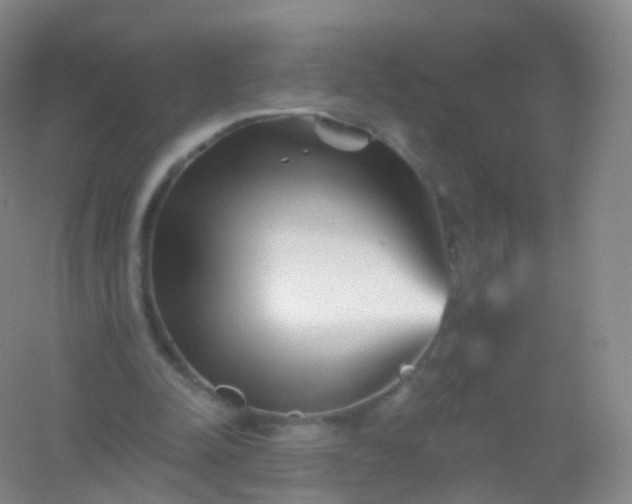 X0000054460342200508121943