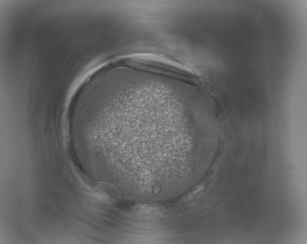 X0000054460343200508121943