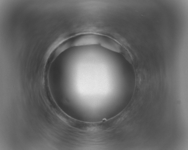 X0000054460344200508121943