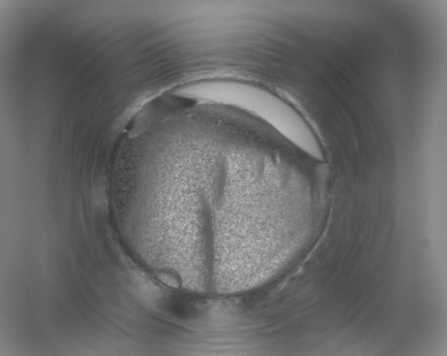 X0000054460345200508121943