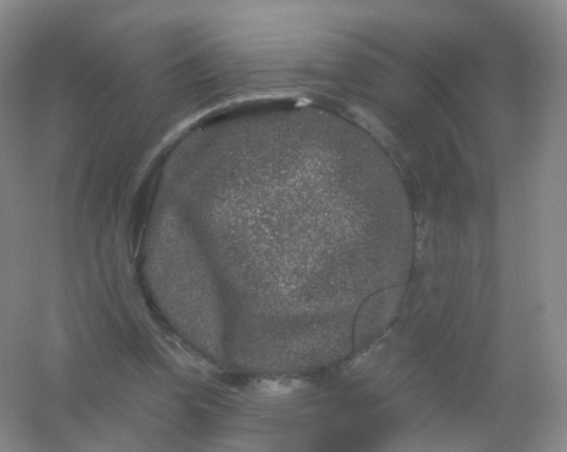 X0000054460346200508121943