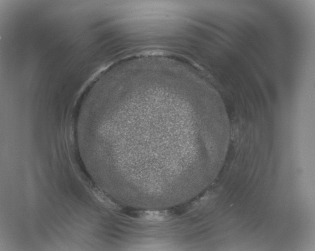 X0000054460347200508121943