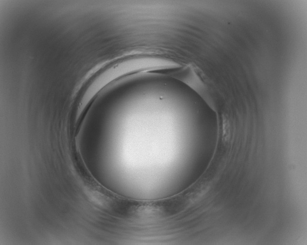 X0000054460348200508121943