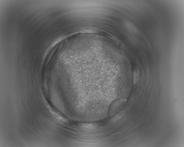 X0000054460349200508121943