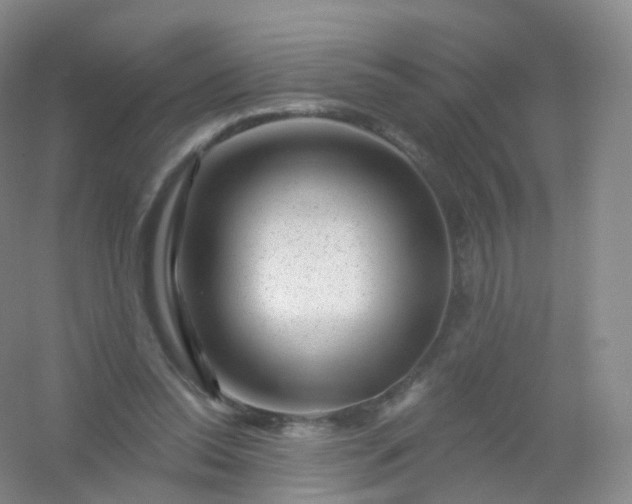 X0000054460350200508121943