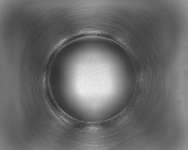 X0000054460352200508121943