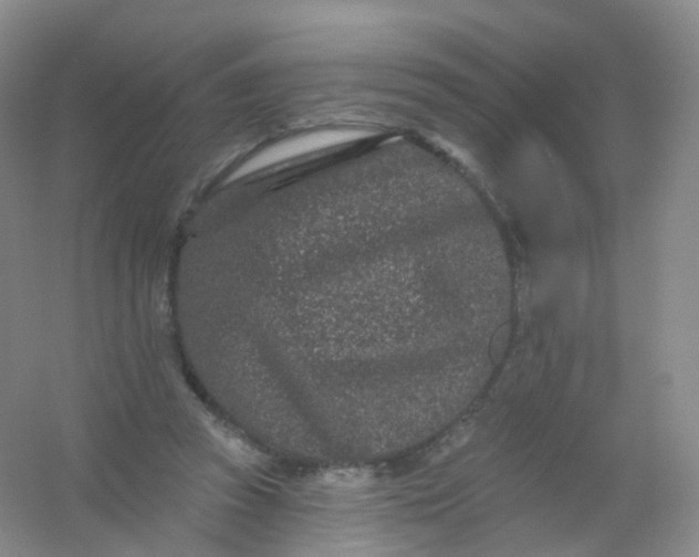 X0000054460353200508121943