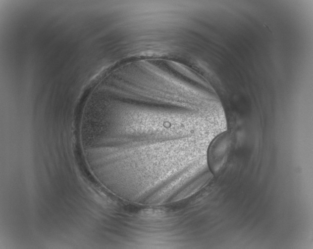 X0000054460354200508121943