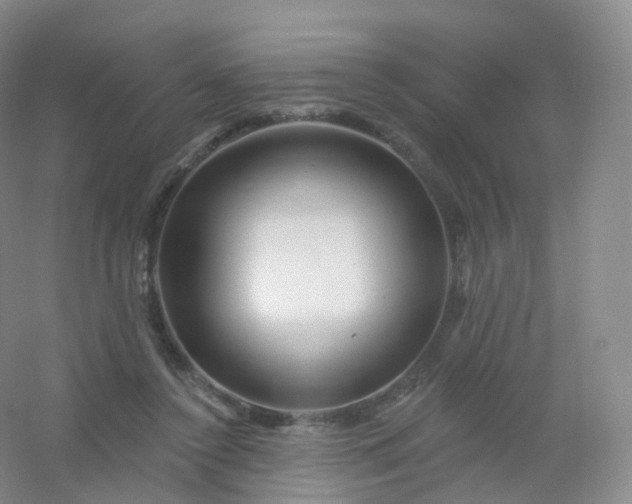 X0000054460356200508121943