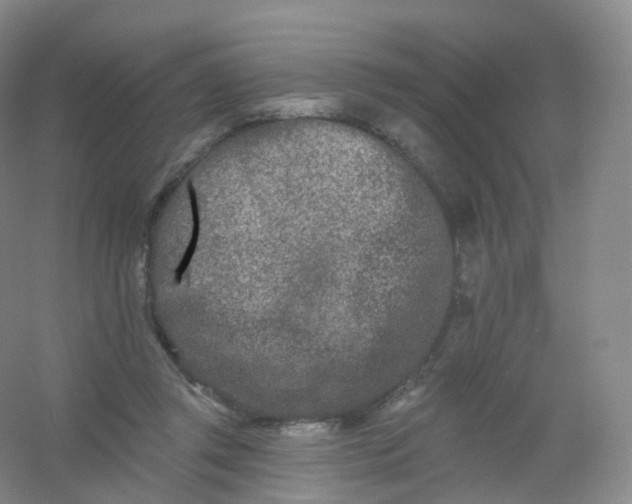 X0000054460357200508121943