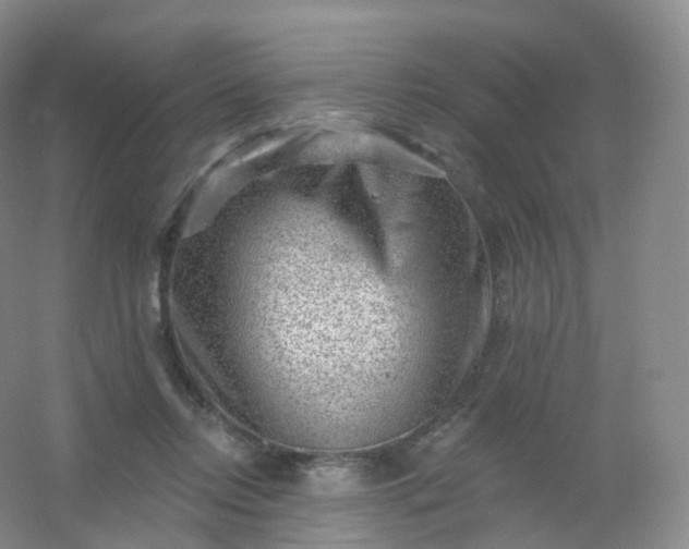 X0000054460358200508121943