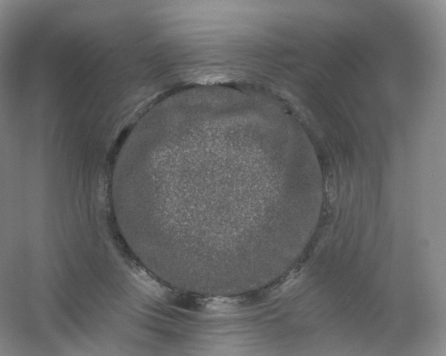 X0000054460359200508121943