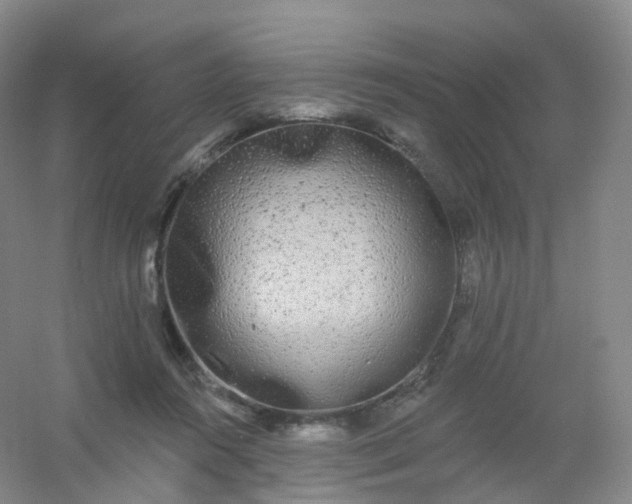 X0000054460360200508121943