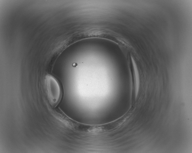 X0000054460362200508121943