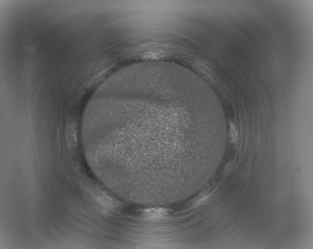 X0000054460363200508121943