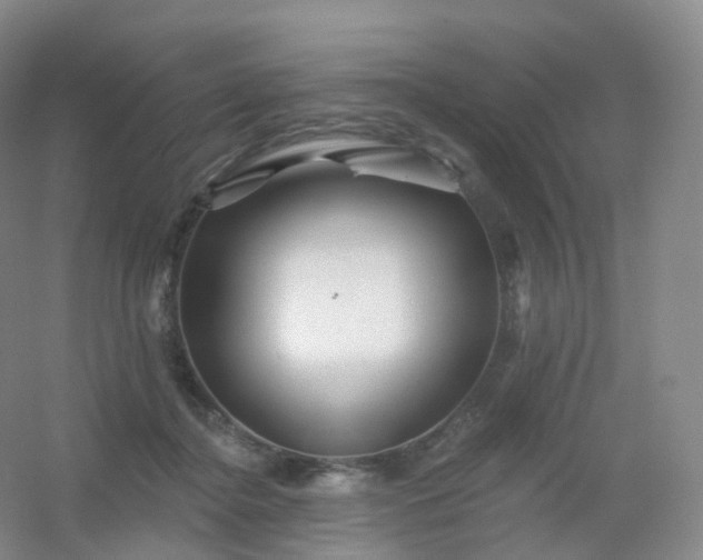 X0000054460364200508121943