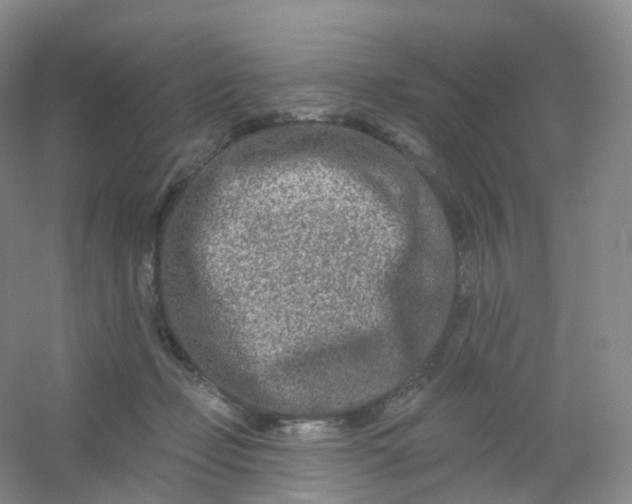 X0000054460365200508121943