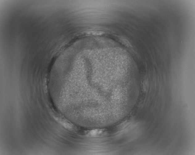 X0000054460366200508121943