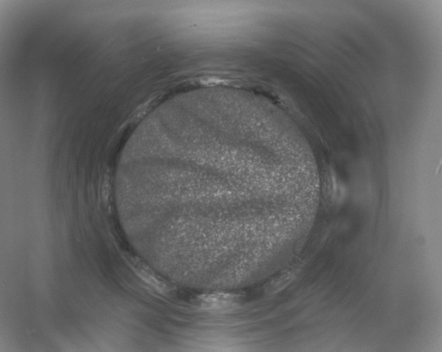 X0000054460367200508121943