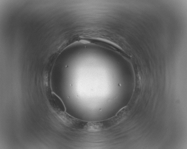 X0000054460368200508121943