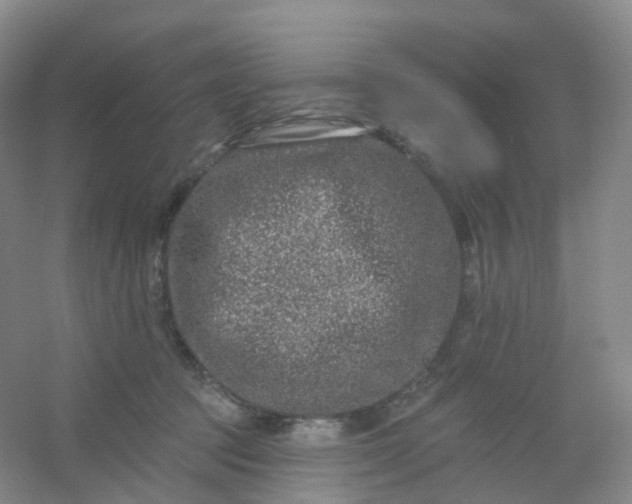 X0000054460369200508121943