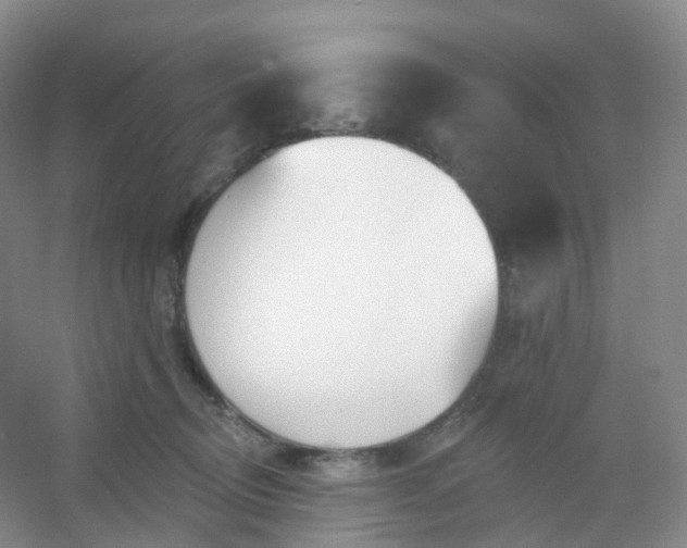 X0000054460370200508121943