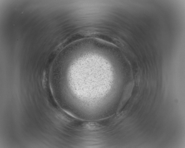 X0000054460372200508121943