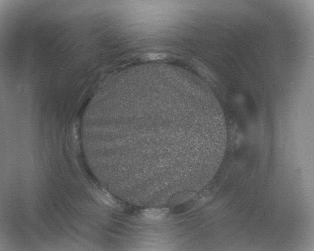 X0000054460373200508121943