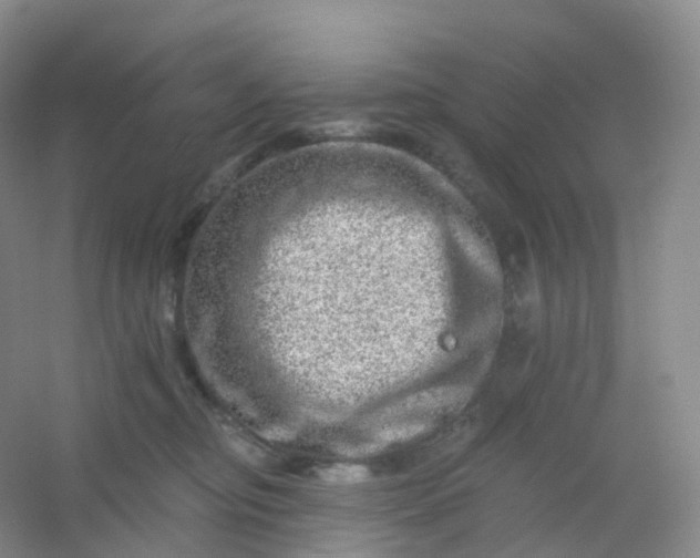 X0000054460374200508121943