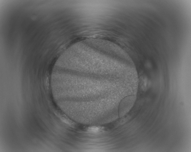 X0000054460375200508121943