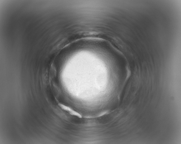 X0000054460376200508121943