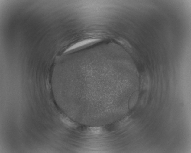 X0000054460377200508121943